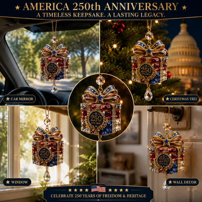 ✨ Limited anniversary edition✨⏰49% OFF!🔥America 250th Anniversary Ornament Gift Box Edition