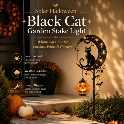 🎃Solar Halloween Black Cat Garden Stake Light